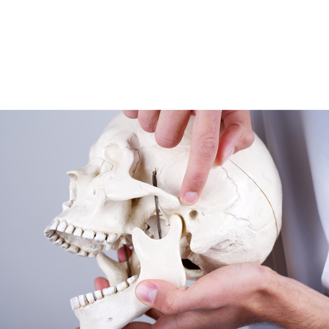 understanding bppv, understanding vertigo, benign paroxysmal positional vertigo, inner ear anatomy, vestibular system anatomy, bppv pathophysiology, bppv anatomy